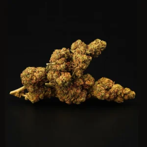 HiBros 65% H3 Blend – White Bear / Widow