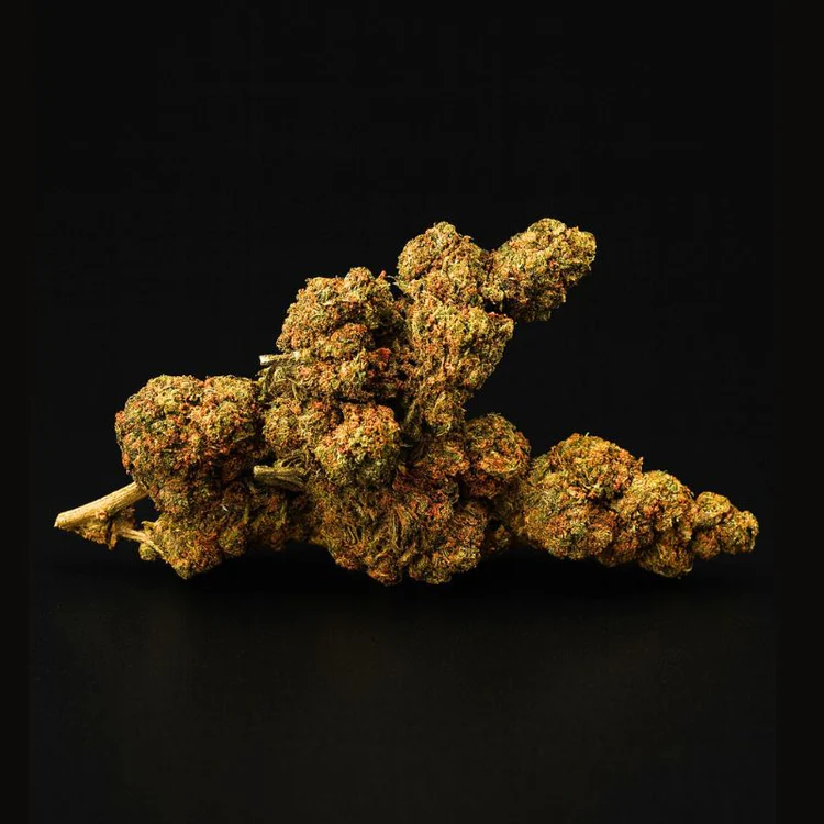 HiBros 65% H3 Blend – White Bear / Widow