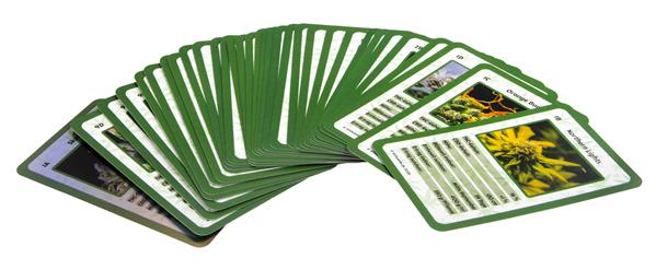 420Cards Cannabis-Quartett Starter Set & Erweiterungsset „Hidden Cards“ – 2. Auflage