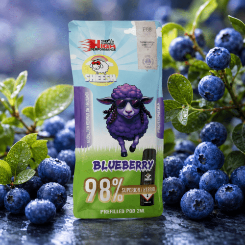 SHEESH Blueberry 98 % Superior Hybrid Pod 2 ml mit frischen Blaubeeren und grünen Blättern auf feuchtem Stein