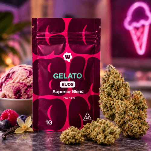 weed-for-friends-hc-gelato-superior-blend-buds-cannectra Weed For Friends Gelato Buds 45 % Superior HC Blend 1 g